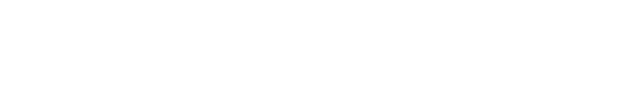 StoreLeads